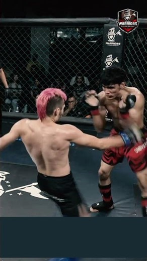 Jab-Cross to Ground Control — Igor Dominates | WDS MMA