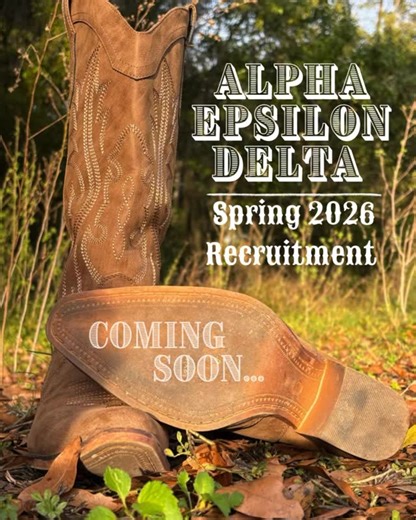 Alpha Epsilon Delta at UF on Instagram: "Get ready for the recruitment round up!! Applications open Monday, January 19th and close Thursday, January 29th. Stay tuned for our recruitment events coming next week! We can’t wait to see everyone🤠 #uf26 #uf27 #uf28 #aed #prehealth"