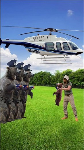 Grizzly bear survival tutorial ￼