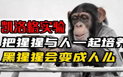 疯狂的凯洛格实验