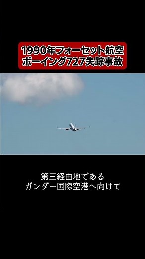 パイロットが空路間違えパニック💦 #仰天 #航空事故 #飛行機事故