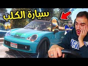 دعسو الكلب وكسرو عضامه وحاولت انتقم له | جراند 5