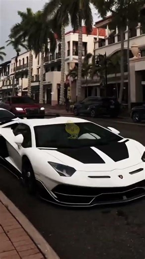 i think the funk is AUTOMOTIVO ANGELICAL V4