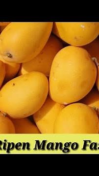 Recipe 18 | How to ripen mangoes fast.