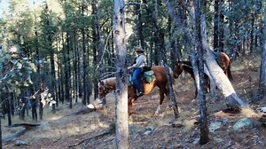 The Snowy River Ride, a six-day equestrian adventure is a dream come true for lovers of ‘The Man from Snowy River’, with all the river crossings, mountain summits, rocky scrambles, sweeping vistas and campfire yarns you could ask for. | Globetrotting - Horse Riding Holidays
