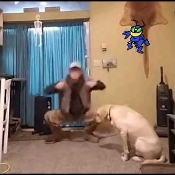 Guy dancing to Markiplier's outro + Buck Bumble theme