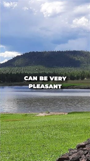 Benny Creek Group Campground—Mountain Views and Room for the Whole Crew