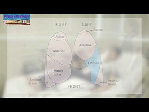 Postural Drainage/ Chest Physiotherapy