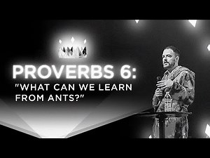 Proverbs 6 Bible Study (Verse by Verse)