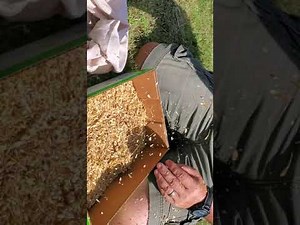 Separating wheat from chaff