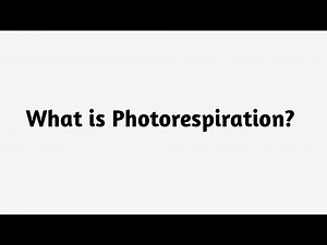 What is Photorespiration ?