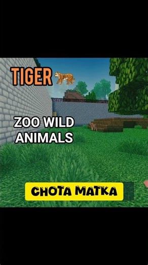 Chota Matka Like a King || ZOO || #chotamatka #minecraft #wildlife #tiger #trending