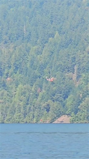 Cameron Lake Wildfire Update: Evacuations and Safety Measures