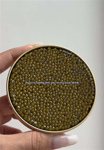 a love letter to caviartok #caviartok #caviar #markyscaviar | caviar