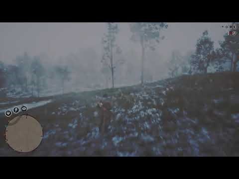 Private Investigator Exposes Car Cheaters