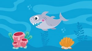 Cute Shark Swiming Sealife Animation 4k 库存影片视频（100% 免版税）1103111781 | Shutterstock