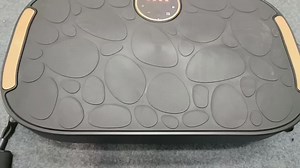 Whole Body Workout Vibration Platform Exercise Machine for Home Fitness Training Equipment