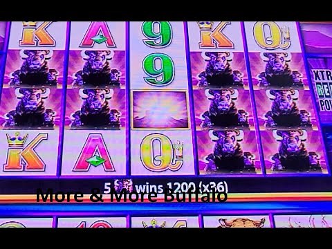 Buffalo Wonder 4 Tower Slot Winning
