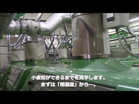 横山製粉工場見学「国産小麦粉ができるまで」