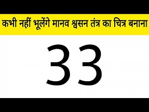 Easy Way to Draw Human Respiratory System