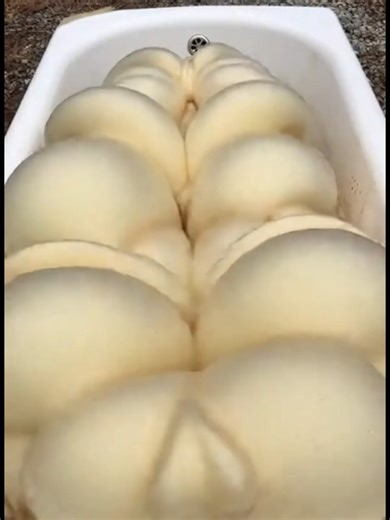 Effective Solutions for Slow Drains