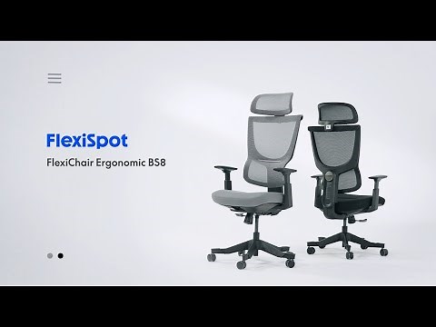 Introducing FlexiSpot BS8 Office Chair