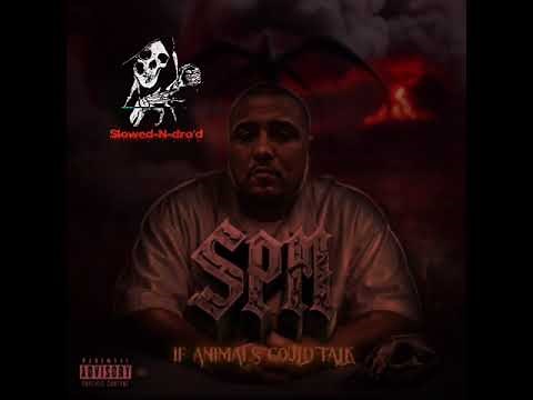 SPM - 2026 (SLOWED) Rastafari