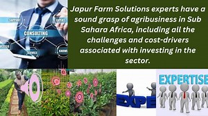 Value Chain Analysis at www.japurfarmsolutions.co.ke | JAPUR FARM Solutions | Facebook