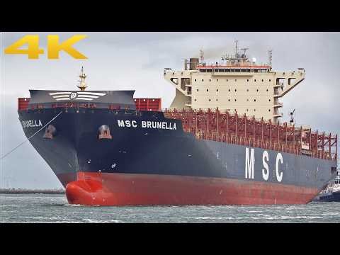 🛳️ HEAVY MARITIME TRAFFIC AT THE PORT OF ⚓️ ROTTERDAM 🇳🇱 4K SHIPSPOTTING 2026