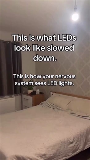 Understanding Your Nervous System and Home Light