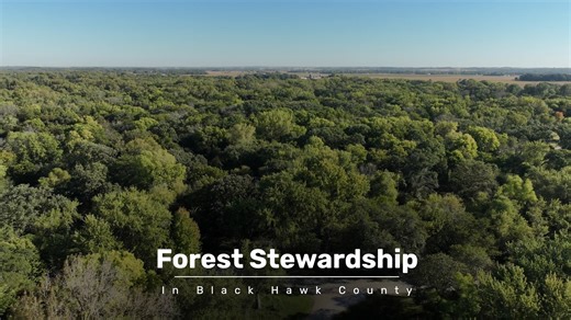 Black Hawk County's forest management work keeps our green spaces healthy, diverse, and thriving! Led by our Conservation team, these efforts support wildlife, grow strong hardwood forests, and create great places to explore. ▶️ Watch the video below to see how we’re caring for our forests for future generations. Black Hawk County | Black Hawk County