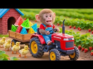 🐒🦆 Monkey KOKI saves a Duck Trapped Underwater and takes care of the ducklings😱🏡💪