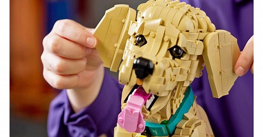 Guter Junge: Ihr könnt euch jetzt einen Golden Retriever aus Lego bauen, wenn ihr keinen Platz für einen echten Hund habt