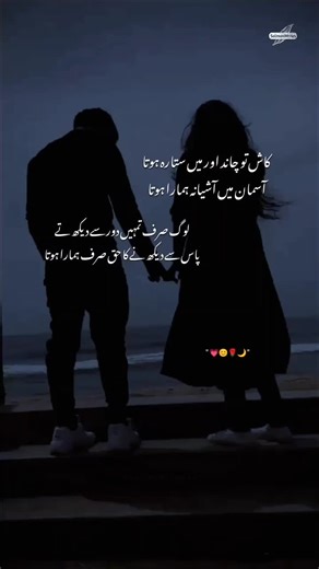 Exploring Shayari: Beautiful Expressions of Emotion