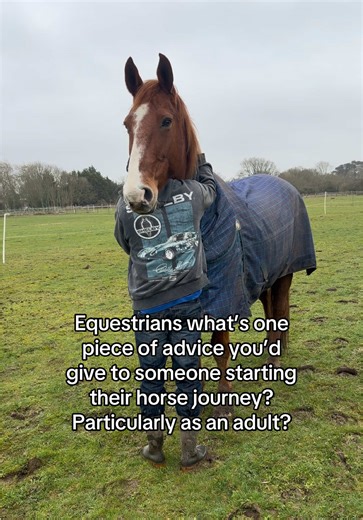 Essential Tips for Adult Beginners in Horse Riding