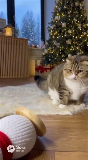 Cat vs Snowman Toy Prank #funny #cat #christmas #prank