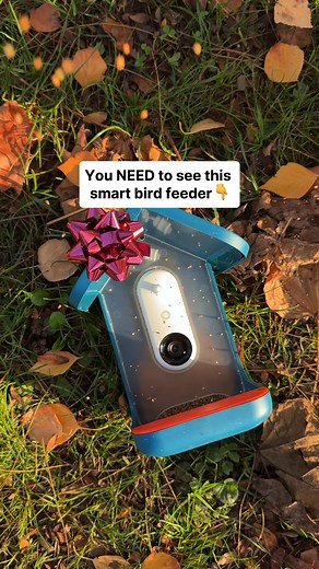 🚨 It’s here — Birdbuddy’s Black Friday Sale! Get up to 50% OFF the world’s first smart bird feeder 🐦 📸 Capture stunning HD photos & videos 📲 Get real-time alerts when birds visit 🔍 Identify 1000 species automatically Thousands of bird lovers already use Birdbuddy to reconnect with nature — now’s your turn. Hurry — this deal ends soon! | Birdbuddy