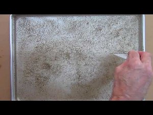 Demonstration of Trailing and Bound Wing Vortex