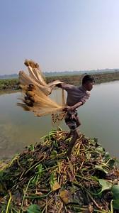 283K views · 1.3K reactions | Net Fishing | Village 74 | Facebook