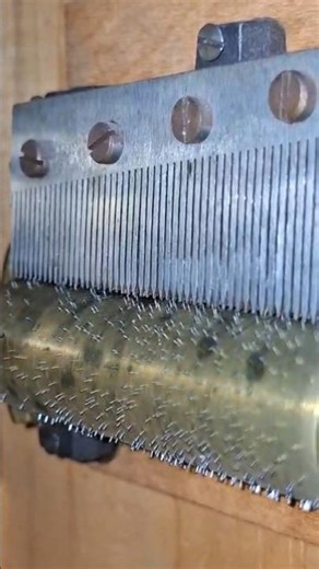 Music Box Movement in Action #musicbox #shorts #cuckooclock #chime #clockwork #closeup #horology