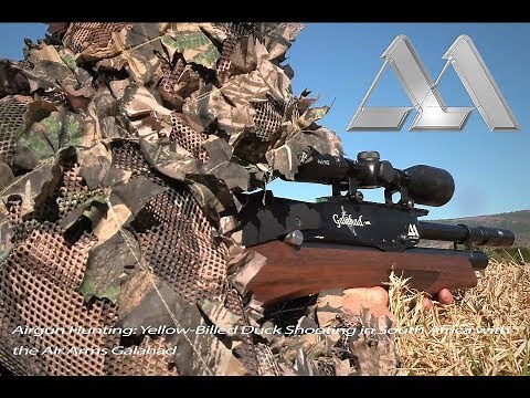 Airgun Hunting: Yellow-Billed Duck Shooting in South Africa with the Air Arms Galahad
