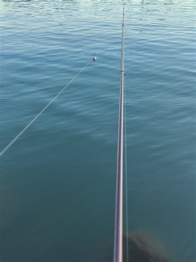 Tecniche di pesca con lenza in foce per spigola
