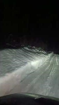Moose tracks by the cabin
