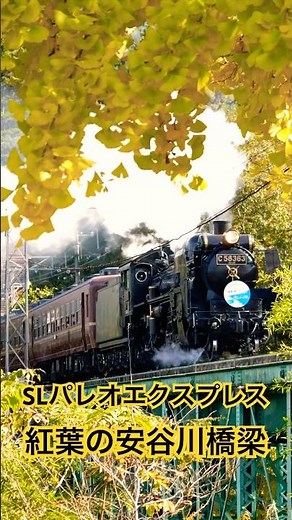 4Kshorts C58-363 SLパレオ 2025紅葉の安谷川橋梁！ [Chichibu-Railway Steam locomotive Class C58 "PALEO EXPRESS"]