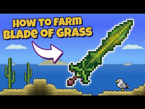 How to farm Blade of Grass in Terraria