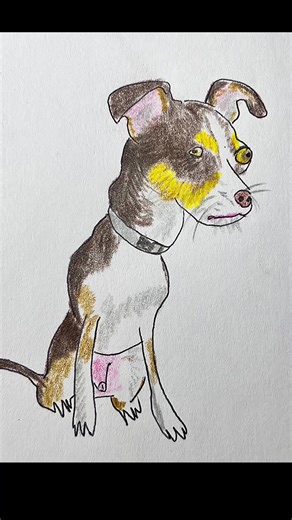 I can draw your pets
