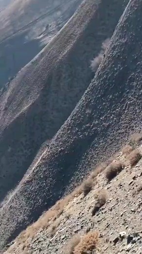 2.6K views · 61 reactions | Balochistan | Voice of Balochistan | Facebook