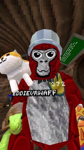Join code edd9e #gorillatag #gorillatagquest #vr