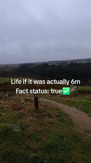 mein füherᛉ࿖☭✞ (@mein_fruher)’s videos with originalljud - user02275138717