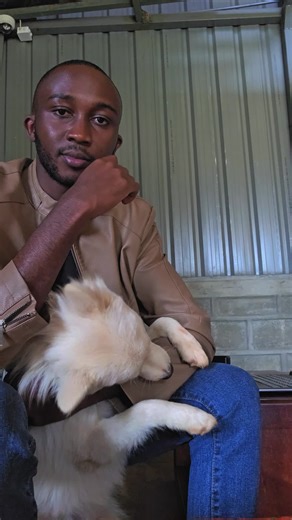 IF YOU DON’T HAVE A PORTFOLIO, YOU’RE INVISIBLE. Let’s talk about something very basic — and very important. A portfolio. A portfolio is simply proof of what you can do. It’s documentation. It’s a page, a document, or a website that shows your skills, not just talks about them. This is where many people fail. Every day I get messages like: “Elvis, I’m good at graphic design.” “Elvis, I can do web design.” “Elvis, I’m a social media manager.” Then I ask one simple question: 👉 “Send me your portf